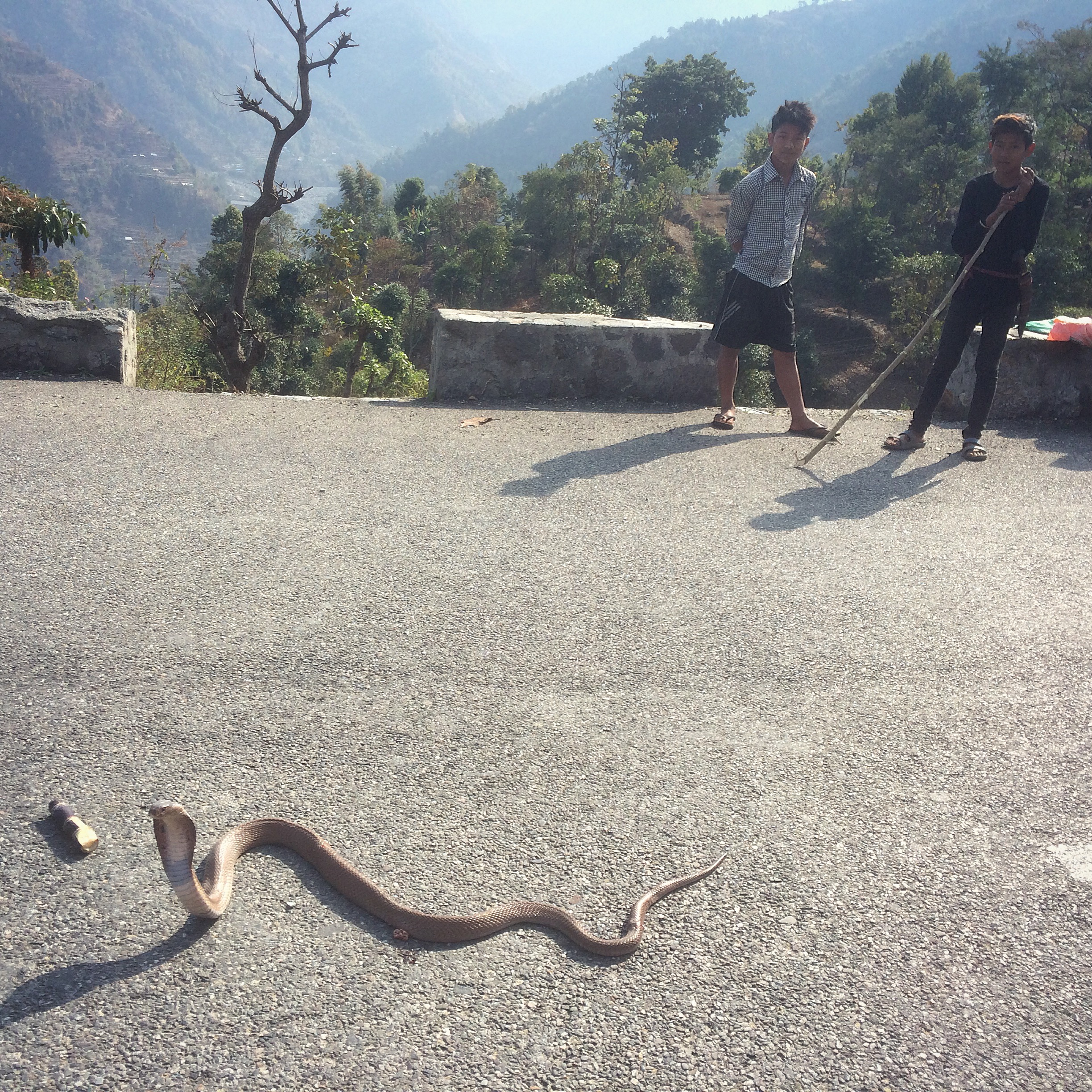 Journey into Bhojpur Mountains - Children on the road with a cobra